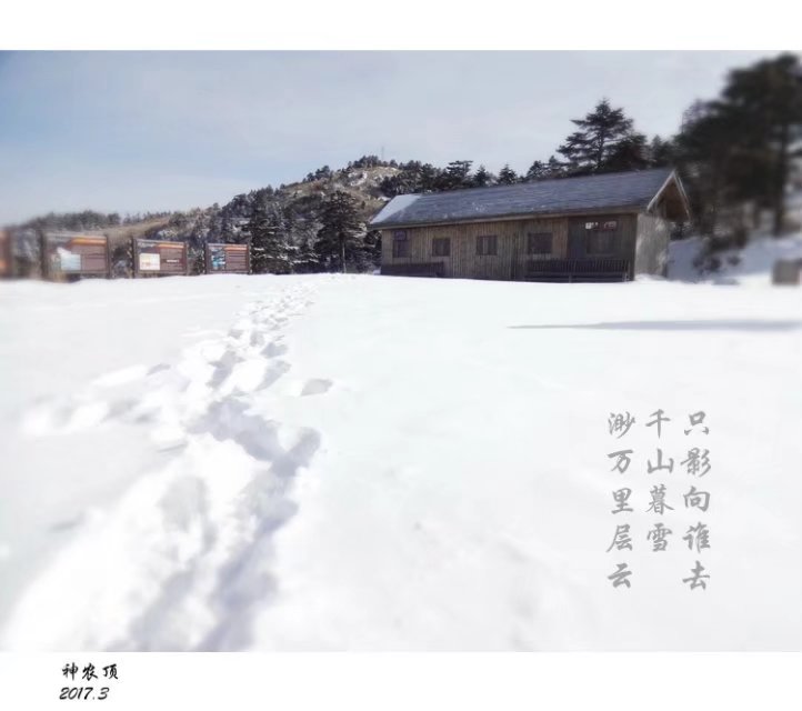 每一處風景都是生命的一次邂逅